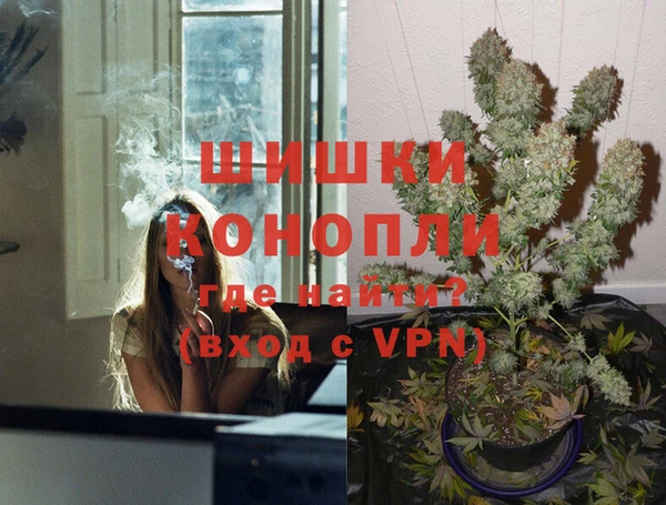 мдпв Кодинск