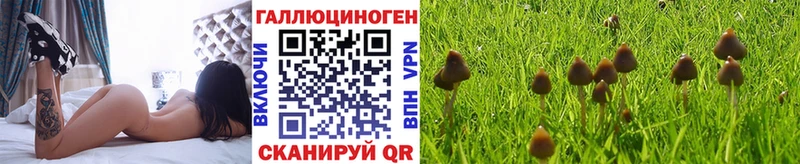 Галлюциногенные грибы мицелий  Миллерово 