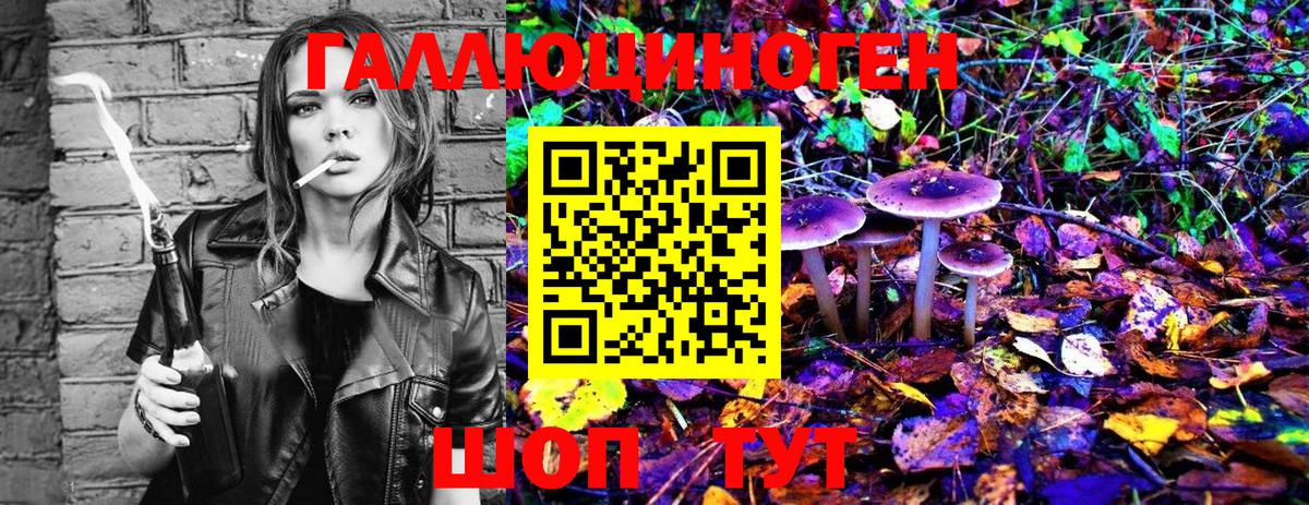Псилоцибиновые грибы MAGIC MUSHROOMS  Вход с VPN  Миллерово 