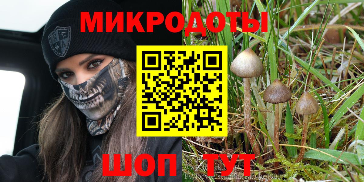 Псилоцибиновые грибы MAGIC MUSHROOMS Миллерово
